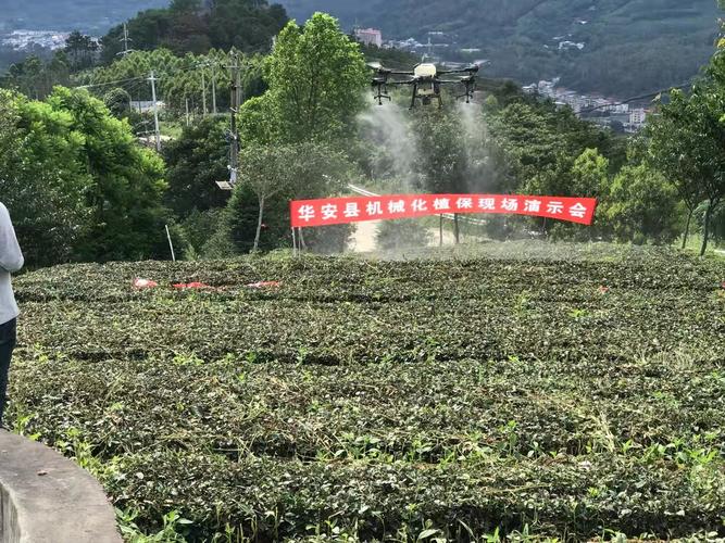 华安县2021年特色产业茶叶机械化植保演示会